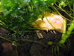 IMG 6891
