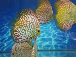 IMG 5173[1]