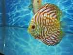 IMG 5170[1]