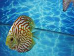 IMG 5166[1]