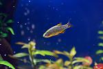 IMG 7866 8