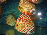 IMG 5193[1]