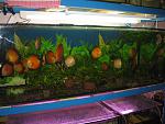 IMG 4767