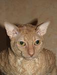 "".   - ,   -  ,    ..       ...