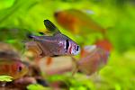 IMG 7899 18