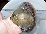 IMG 5878