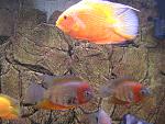 IMG 4891