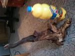 IMG 0206[1]