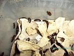 2012 03 25 06.50.26