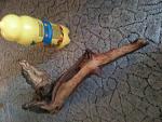 IMG 0212[1]
