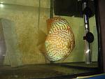 IMG 4773