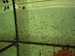 IMG 5052