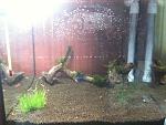 IMG 0118[1]