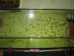 IMG 5048