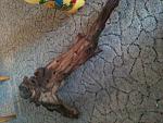 IMG 0209[1]