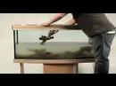 Setting up a large tropical freshwater aquarium\